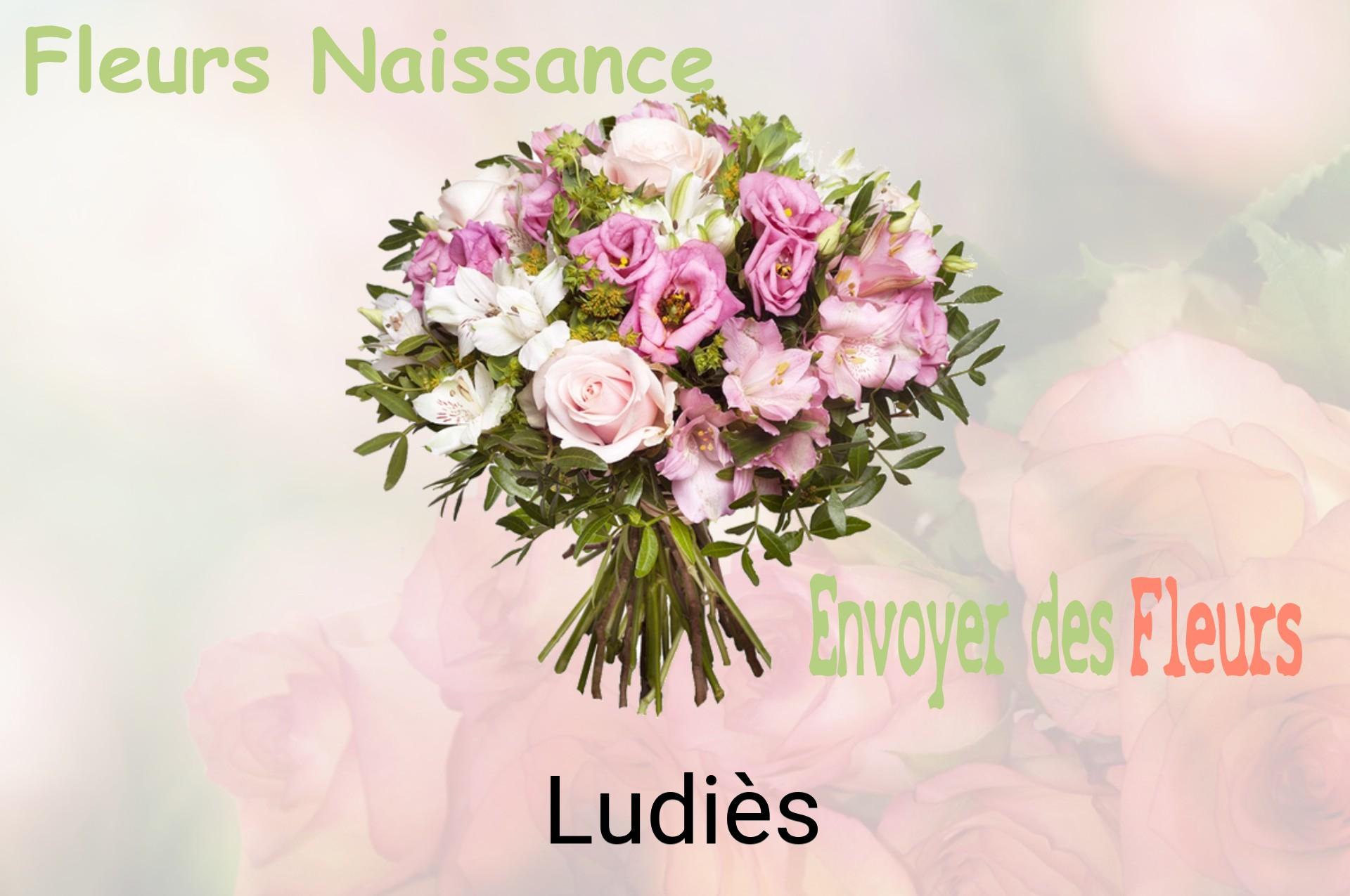 Bouquet de fleurs de naissance livré à Ludiès