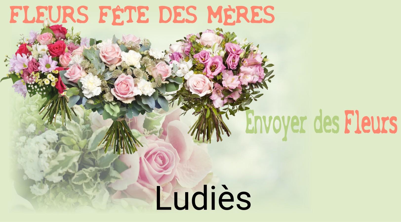 Bouquet de Fête des Mères livré à Ludiès
